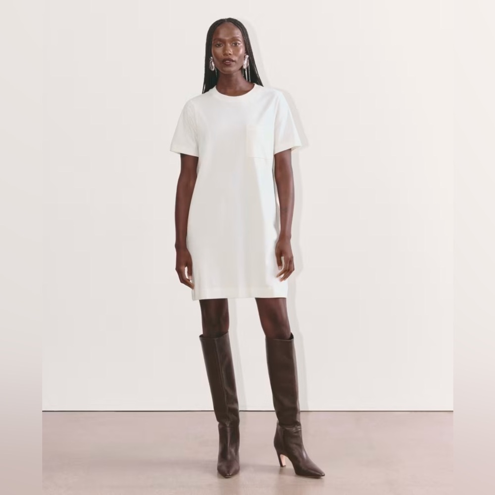 Everlane organic cotton tee dress